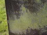 image of grave number 904507